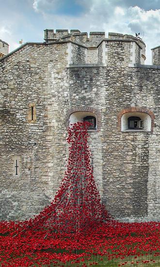 Weeping-Window-Poppies-Sculpture